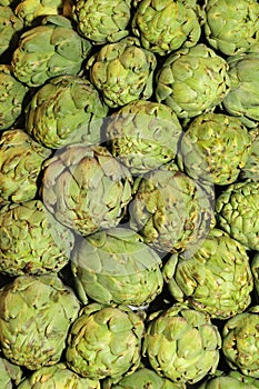 Artichokes