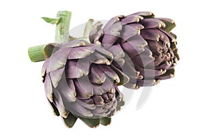 Artichokes