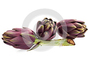 Artichokes photo