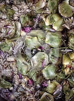 Artichokes. Abstract close-up of artichoke leaves.