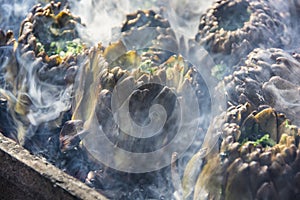 Artichokes baking on hot coals