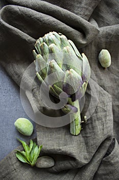 Artichokes on gray background with copy space