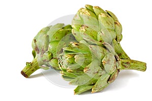 Artichokes isolated on white background