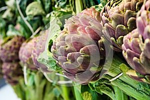 Artichokes macro. Vegetables. Full image closeup.