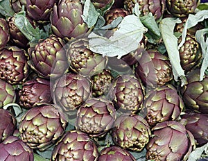 Artichokes for sale at vegetable market 6