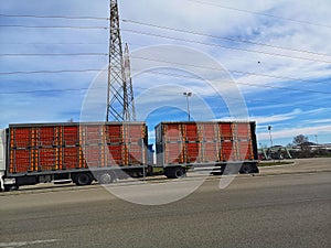 Articulated lorry for the transport of live animals