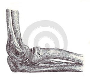 Articulation arm - skeleton