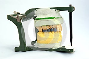 Articulator