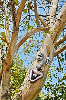 Artifact on a tree with eyes, nose and lips in a garden photo