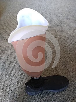 Artifical Leg Shell with Insert And Shoe