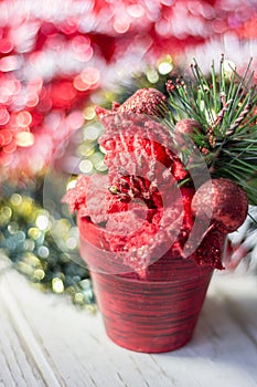 Artifical poinsettia - christmas symbol in red flower pot.