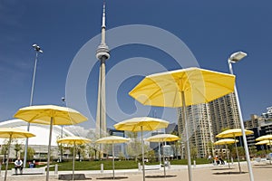 At the Artificial Beach in Toronto Canada