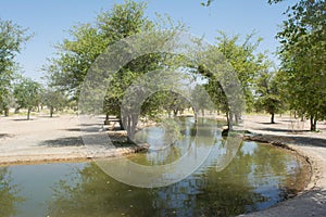 Artificial beautiful lough at oasis in the desert surrounded by trees and bushes