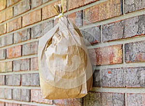 Artificial bee, warps hive made from a paper bag and string, works great.-nature/outdoor photography