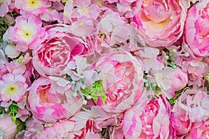 Artificial blooming peonies of pink color background