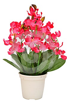 Artificial of blossom orchid flowers bouquet isolated on white b