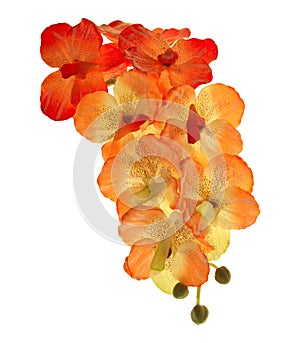 Artificial of blossom orchid flowers bouquet isolated on white balckground