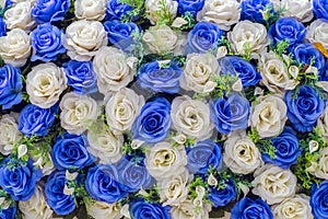 Artificial blue and white roses