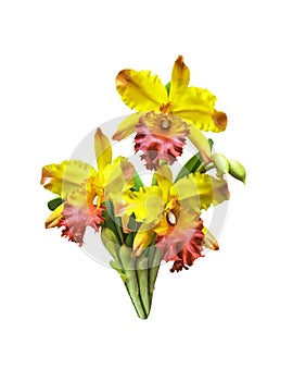 Artificial bouquet orchid flower isolated