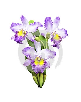 Artificial bouquet orchid flower isolated