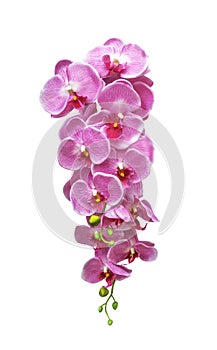 Artificial bouquet pink orchid flower isolated