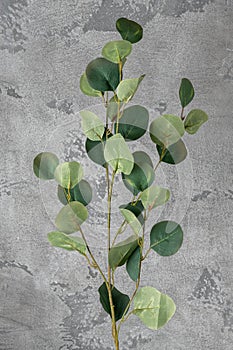Artificial branch of leaf like real as modern evergreen ecological decoration for interiors