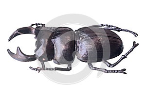 Artificial bugs isolated on white background