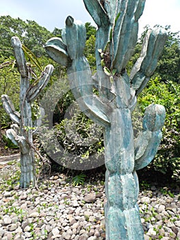 artificial captus made of stone in the garden photo