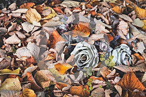 Artificial cemetery rose flower in dry autumn or fall leaves foliage