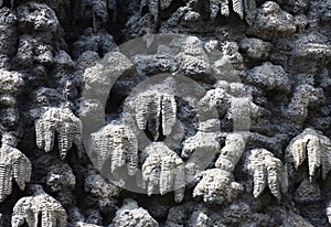 Artificial creation of stalactite wall Wallenstein Garden