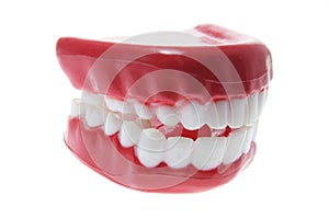 Artificial Dentures