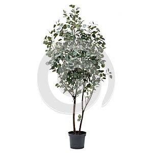 Artificial eucaliptus tree like real as modern evergreen ecological decoration for interiors
