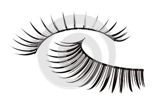 Artificial Eyelashes Isolated