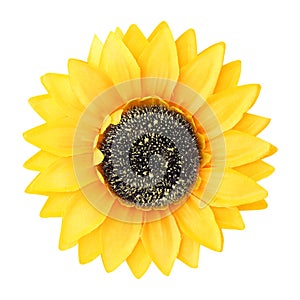 Artificial fabric sunflower isolated on white