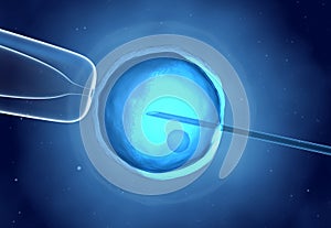 Artificial fertilization