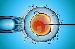 Artificial fertilization of human female egg vector illustration