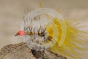 Artificial fishing fly