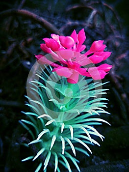 Artificial flower