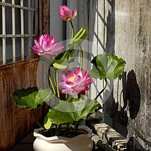 Artificial flower, lotus flower from clay