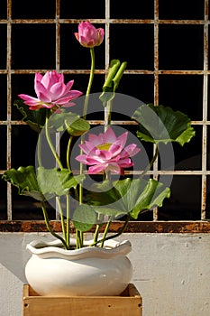 Artificial flower, lotus flower from clay