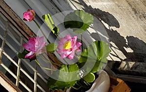 Artificial flower, lotus flower from clay