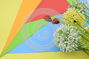 Artificial flower on orange, red, blue and green background give romantic look concept with two ladybird