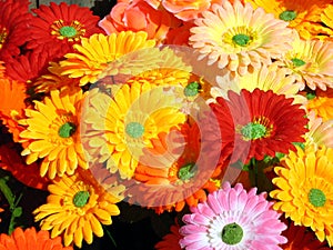Artificial Flowers