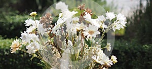 Artificial flowers Bouquet Dried statice flower soft white tone color in vintage style, Concept for write text design in front