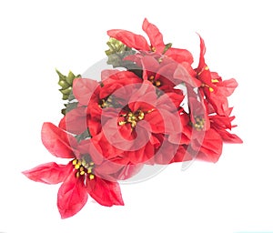 artificial flowers in studio