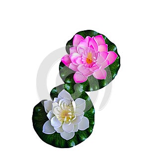 Artificial flowers, white and pink lotus