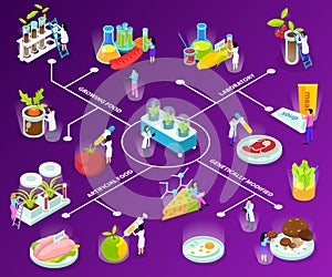 Artificial Food Isometric Flowchart