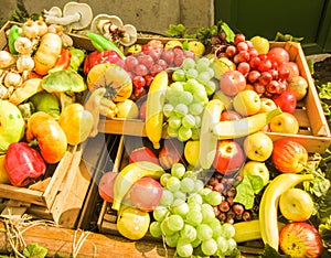 Artificial fruit, vegetable and mushroom