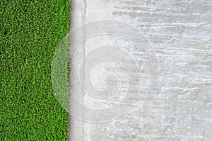 Artificial grass on a cement wall