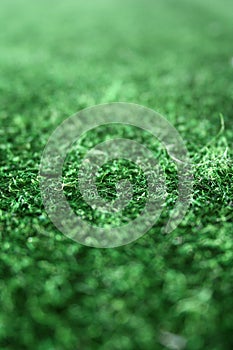 Artificial Grass Detail